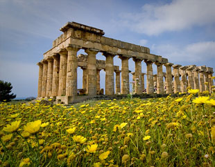 Sicily - Selinunte